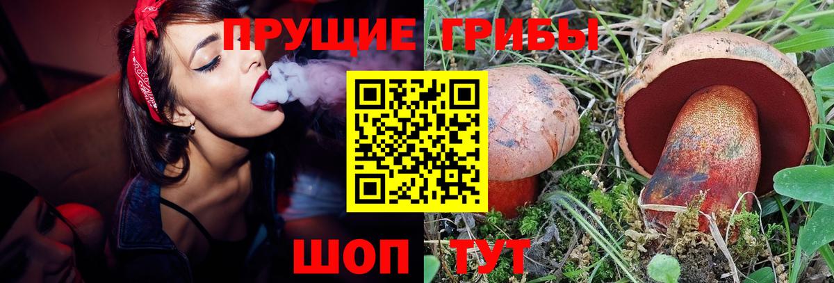 Галлюциногенные грибы GOLDEN TEACHER Черняховск